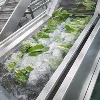 Industriële continue blancheringsmachine voor groenteverwerking, prijs