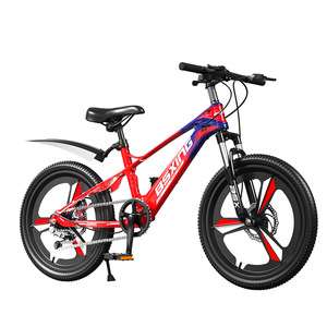 Vélo de montagne pour enfants Bexing, 20 pouces, fourche à suspension, freins à disque, selle confortable, vélo unisexe pour les enfants de 8 ans et plus - Product Image 1
