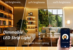 Bande LED VR à intensité variable 192 LED/s, dimmable <span class=keywords><strong>de</strong></span> chaud à froid 3000K~1800K, PCB personnalisé IP 10mm, DC24V 4.8W/9.6W/13W, <span class=keywords><strong>Site</strong></span> <span class=keywords><strong>de</strong></span> <span class=keywords><strong>vente</strong></span> <span class=keywords><strong>en</strong></span> <span class=keywords><strong>ligne</strong></span> <span class=keywords><strong>chinois</strong></span> - Product Image 5