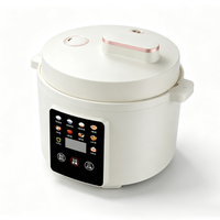 Autocuiseur Électrique Multifonction OEM 110V/220V Cylindrique 3L avec Contrôle Numérique par Minuteur, Cuisson Rapide et Système de Maintien au Chaud pour Hôtels et Usage Domestique