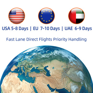 Agente de Envío Internacional DDP DDU EMS <span class=keywords><strong>DHL</strong></span>, Transporte por Camión y Ferrocarril, Envío LCL, UPS Fedex, Transporte Aéreo y Marítimo - Product Image 4