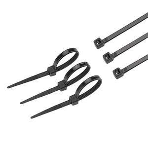 Nylon 66 Attaches de câble Sangle en <span class=keywords><strong>plastique</strong></span> Noir Sac <span class=keywords><strong>Vert</strong></span> Blanc Bleu Pcs Attache De Chine Whiteng Nylon ROHS Nylon Pince 2.5x100mm - Product Image 2