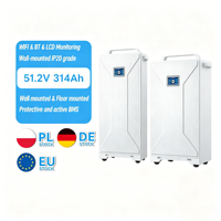 Batterie de stockage d'énergie solaire domestique SUPSRSAFE T30 LiFePO4 15KWh 16KWH DIY 51.2V 48V 280Ah 314Ah 8000 cycles