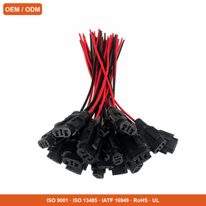 สายเคเบิลกันน้ำ OEM Molex <span class=keywords><strong>Mizu</strong></span> P25 2 พิน ระยะห่าง 2.5 มม. ชุดสายไฟสำหรับไฟตัดหมอก LED รถยนต์ พร้อมหัวต่อแบบ Pigtail - Product Image 2