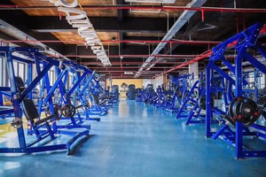 Équipement de musculation pour salle de sport, machine à presse pectorale avec fonction réglable et de musculation pour la maison et la salle de sport - Product Image 2