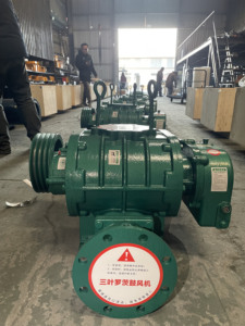 Grand ventilateur de racines de Trois-feuille pour le traitement en pierre cru, utilisé dans les mines - Product Image 4