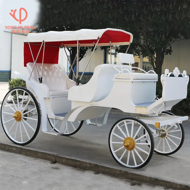 Casamento maravilhoso Transporte Sightseeing do cavalo com dossel/transporte elétrico Sightseeing