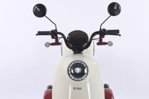 Tricycle électrique à 3 roues à usage familial 600W batterie au plomb pour moto Tricycle électrique pour personnes âgées - Product Image 2