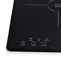 Brûleur de Table numérique intelligent, plaque de cuisson, cuiseur vapeur, friteuse, cuisson, marmite à Induction multiple
