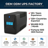Vente directe usine : Onduleur interactif en ligne 650VA avec AVR et écran LCD pour la sécurité, la surveillance, l'alarme et le support informatique (ODM/OEM)