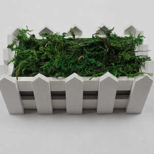 Muschio Verde Naturale Essiccato all'Ingrosso per <span class=keywords><strong>Vasi</strong></span> di <span class=keywords><strong>Orchidee</strong></span> - Product Image 2