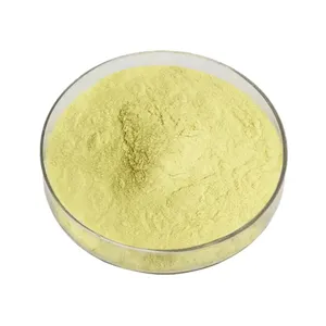 B.c.i Cung cấp Nhà máy cung cấp OEM kaempferia galanga chiết xuất bột màu vàng 98% kaempferol bột