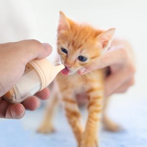 Biberons pour chiots et chatons nouveau-nés 2023, design anti-étouffement, écologiques, en PP+silicone, tétine carrée professionnelle - Product Image 6