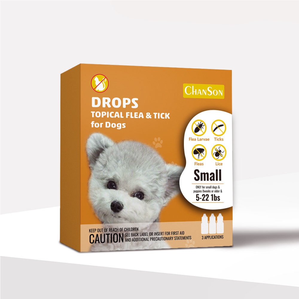 Chien orange