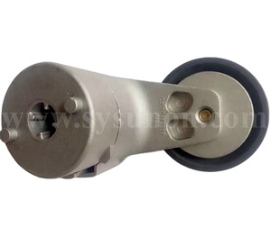 Tendicinghia per <span class=keywords><strong>Motore</strong></span> Diesel Betoniera 5010412957 D5010412957 per <span class=keywords><strong>DCi</strong></span> 11 - Product Image 1