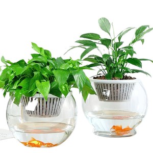 Pots de fleurs en plastique à arrosage automatique, pots de fleurs pour personnes paresseuses, adaptés à l'intérieur, en différentes formes et tailles. - Product Image 1