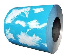 Venta caliente Material de construcción resistente a la corrosión <span class=keywords><strong>PPGI</strong></span> Bobina de acero de zinc galvanizado recubierto de color impreso - Product Image 6