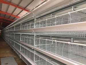 Katman \/tavuk \/yumurta tavuk için sıcak satış otomatik kanatlı çiftlik kafesi - Product Image 5