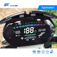 Module LCD VA personnalisé OEM pour écran MONO de vélo électrique
