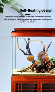 Sunsun <span class=keywords><strong>Aquarium</strong></span> <span class=keywords><strong>Aquarium</strong></span> <span class=keywords><strong>Aquarium</strong></span> Borstel Reiniging Artefact Super Magnetische Borstel Reiniging Tool Geen Dode Hoek Algen Verwijdering Algen Schraper - Product Image 6