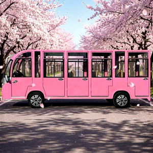 Autobús turístico eléctrico de 14 asientos, totalmente cerrado, vehículo de nueva energía, autobús turístico rosa con puerta de vidrio, ¡muy vendido! - Product Image 1