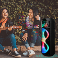 Enceinte portable sans fil ZQS8223 double 8 pouces avec lumières, son stéréo puissant, basses profondes, enceintes d'extérieur prenant en charge la double couplage