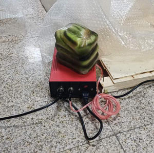 Modèle d'entraînement à l'insémination artificielle anatomique scientifique médicale Gelsonlab HSBM-534 pour bovins - Product Image 5