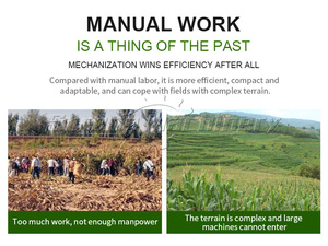 Khô và ướt Ngô gặt đập tay làm việc máy kéo <span class=keywords><strong>mini</strong></span> Ngô gặt đập liên hợp - Product Image 5