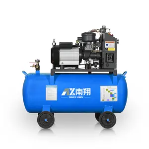 Nanxiang 3Hp 220V 10 cfm combinato compressore d'aria con compressore d'aria a vite per automobili
