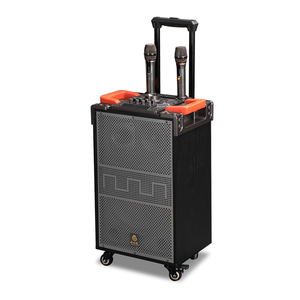 Machine de karaoké en bois JSL 12 "haut-parleurs alimentés par <span class=keywords><strong>Dj</strong></span> haut-parleur audio professionnel avec chariot modèle n °: F8 - Product Image 3