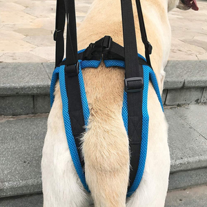 Medizinische Behandlung Ganzkörper träger Sling für Behinderte <span class=keywords><strong>Old</strong></span> <span class=keywords><strong>Pet</strong></span> Dog Safe Support Harness für große Hunde - Product Image 4