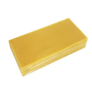 Panal de abeja para apicultura, hoja de base para abejas