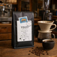 Sachet de café thermoscellable avec valve unidirectionnelle et fermeture éclair pour grains torréfiés, idéal pour la vente au détail des petites entreprises