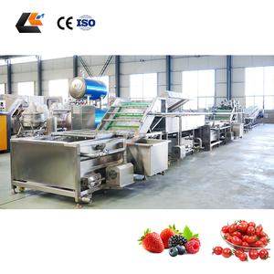 Equipo de limpieza de fresas, clasificador de ajo y frutas, máquina de limpieza de kiwi, línea de lavado, clasificación y calibración de manzanas y frutas de la pasión - Product Image 1