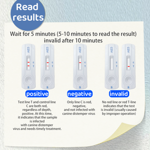 애완 동물 병원을위한 신속 테스트 키트 개 디스템퍼 바이러스 항원 신속 테스트 빠른 진단 키트 - Product Image 4