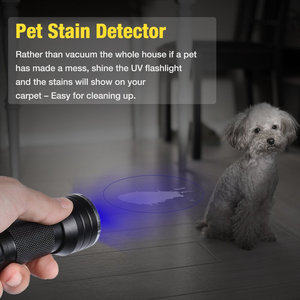 21LED UV Flashlight UV Light Profession Scorpion Detector Hunter Finder Ultraviolet Black Light 395nm Find Urine &amp; Bodily <strong>Fluis</strong> - Product Image 3