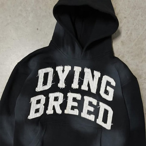 Sudaderas con capucha extragrandes para hombre con etiqueta personalizada, suéter vintage desteñido al sol lavado con ácido, bordado desgastado - Product Image 2