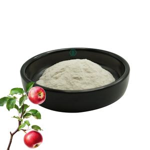 Лучшее качество, 98% Экстракт кожи яблока, порошок, флоретин, натуральная добавка, экстракт яблони, порошок флоретина - Product Image 2