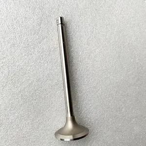 Chongqing Original K19 Diesel Engine Spare Parts Exhaust Intake Valve 3052820