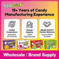 Yoloduck Valentijnsdag Hartvormige Zure Gummies Fruit Smaak Gemengde Novelty Snoepjes Halal Bulk OEM Valentijnscadeau