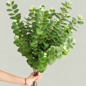 Chất Lượng Cao Nhân Tạo Bất Cảm Ứng Cao Su Màu Xanh Lá Cây Bạch Đàn Tiền Lá Chi Nhánh Lá Thân Cây Làm Bằng Tay Tốt Nghiệp Phục Sinh Đám Cưới Nhà - Product Image 4