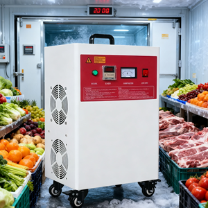 Generador de Ozono de 12G/H, Filtración de Aire, Tratamiento de Agua, Certificado CE, Ecológico - Product Image 2