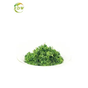 Hoge Kwaliteit Gmp Kosher Gypenosides Jiaogulan Extract Gynostemma Pentaphyllum Extract