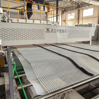 Ligne de production professionnelle de panneaux de drainage anti-déformation en HDPE, LLDPE, EVA, PE, personnalisable, largeur 2m, 3m, 4m, avec géotextile composé et PLC