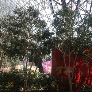 شجرة صناعية بلاستيكية متينة مخصصة 10 أقدام مع فروع وأوراق طبيعية لديكور حديقة المنزل في الهواء الطلق - Product Image 4