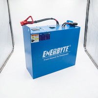 Batterie au lithium pour chariot élévateur de stockage frigorifique -30 ° C à 55 ° Pack de batteries LiFePO4 à large plage de température C