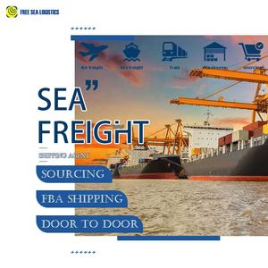 China a Indonesia Malasia Filipinas Logística LCL + Express Sea and Air Freight Agent DDP/DDU Entrega directa al cliente - Product Image 2