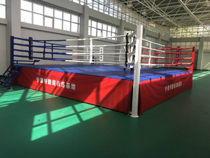 Bagues <span class=keywords><strong>de</strong></span> lutte d'arrière-cour à vendre, anneau <span class=keywords><strong>de</strong></span> boxe Pro <span class=keywords><strong>de</strong></span> 14 pieds - Product Image 2