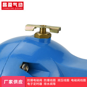 Válvula de Drenaje Automática Changying Qidong Rd50016 15G, Tipo Flotador Azul, Piezas para Compresores Industriales - Product Image 2