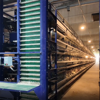 conception efficace de cage à poulets Cages à poulets multi-couches pour l'élevage de volailles pour la gestion des couches